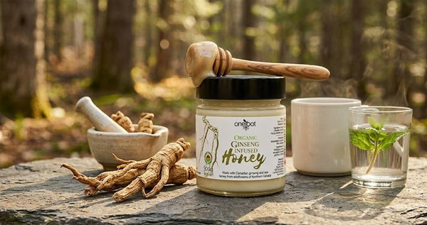 Cacao-Infused Honey Benefits & Recipes for a Gourmet Treat
