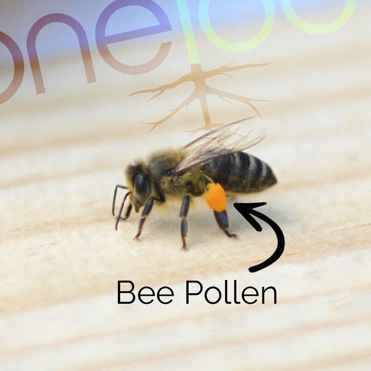 Bee Pollen