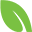 Oneroot Honey logo